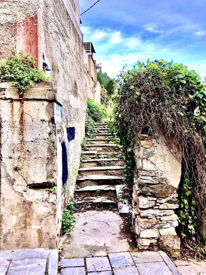 Villa Campana - Bastia Centre 外观 照片